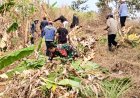 Babinsa Gunungkarung Bersama Warga Gotong Royong Pulihkan Lahan Bekas Galian Pasir